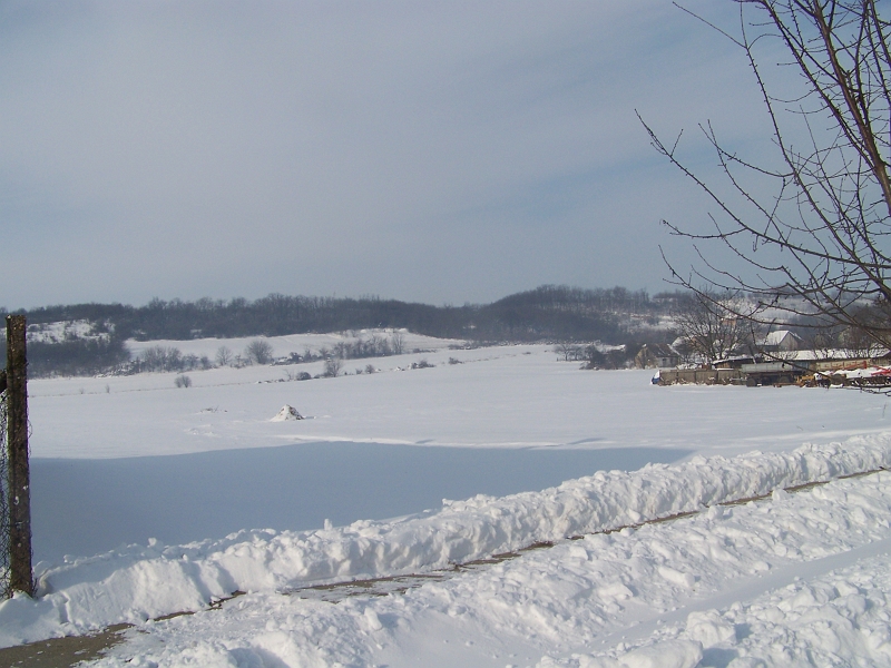 2012.02.09. 046.jpg
